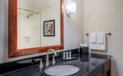 Embassy Suites by Hilton Boston Waltham