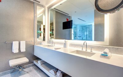 THE MIDLAND HOTEL, Chicago, a Tribute Portfolio Hotel