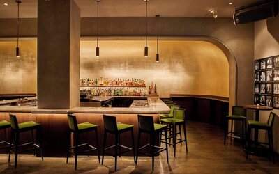 The Chicago Hotel Collection Ambassador Gold Coast