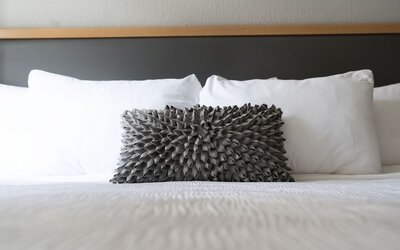 Hotel Saint Clair- Magnificent Mile