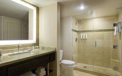 Marriott Chicago O'Hare
