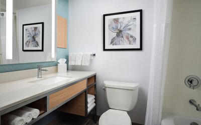 Hilton Garden Inn Boston-Burlington