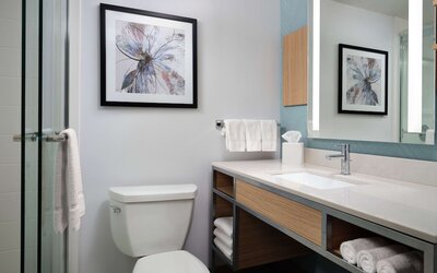 Hilton Garden Inn Boston-Burlington