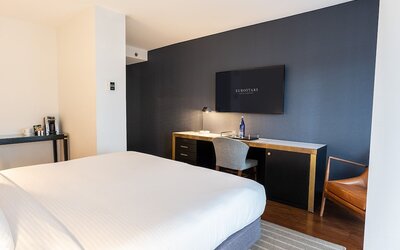 Premier Suite, 1 King Bed, Terrace (Executive | 2 Pax)