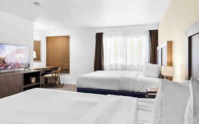 Serene Vegas Boutique Hotel Las Vegas