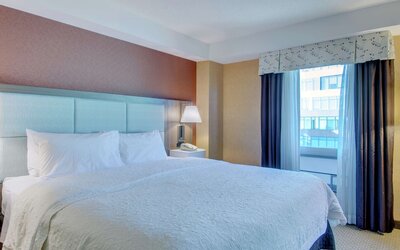 Hampton Inn & Suites Boston Crosstown Center