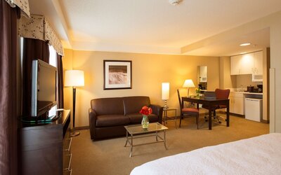 Hampton Inn & Suites Boston Crosstown Center