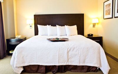 Hampton Inn & Suites Boston Crosstown Center