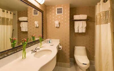 Hampton Inn & Suites Boston Crosstown Center
