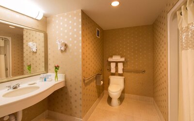 Hampton Inn & Suites Boston Crosstown Center