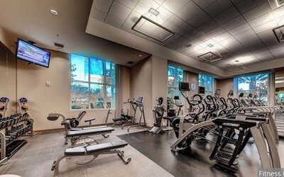 Remodeled MGM Signature Suite High FLR
