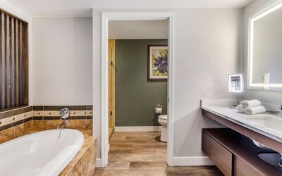 Hilton Grand Vacations Club Flamingo Las Vegas