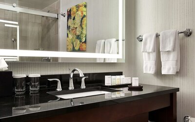 Embassy Suites by Hilton Washington DC Chevy Chase Pavilion