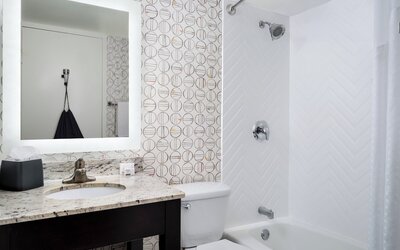 Holiday Inn Boston - Dedham Hotel & Conference Center by IHG
