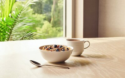 Holiday Inn Boston - Dedham Hotel & Conference Center by IHG