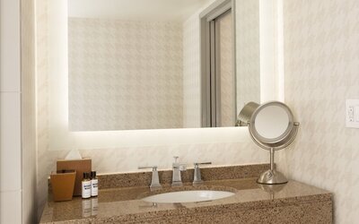 Hyatt Regency Boston/Cambridge
