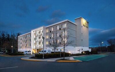 Element Lexington