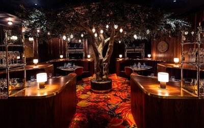 Circa Resort & Casino – Adults Only