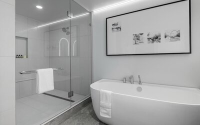 The Morrow Washington Dc, Curio Collection By Hilton
