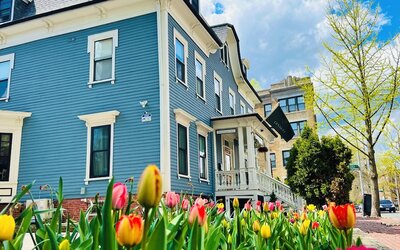 Ginkgo House on Harvard