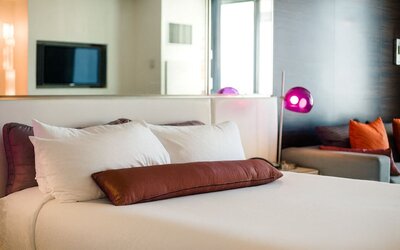Luxury Suites at the Palms