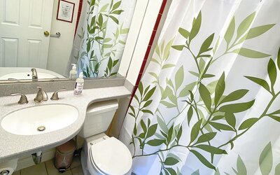 Ginkgo House on Harvard