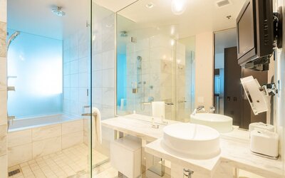 Luxury Suites at the Palms