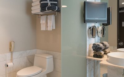 Luxury Suites at the Palms