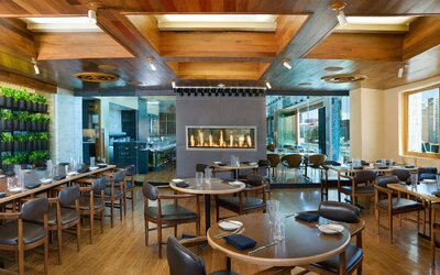Luxury Suites at the Palms