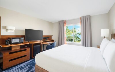 Room, 1 King Bed (Mobility Accessible, Roll-In Shower) - 1 King Bed