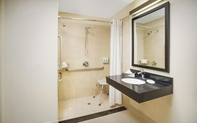 Room, 1 King Bed (Mobility Accessible, Roll-In Shower) - 1 King Bed
