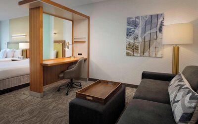 SpringHill Suites Alexandria