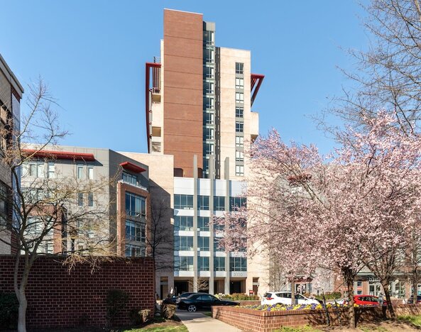 Kasa Alexandria Washington