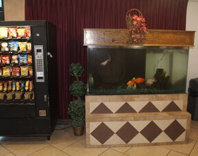 Shalimar Hotel of Las Vegas