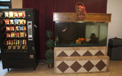 Shalimar Hotel of Las Vegas