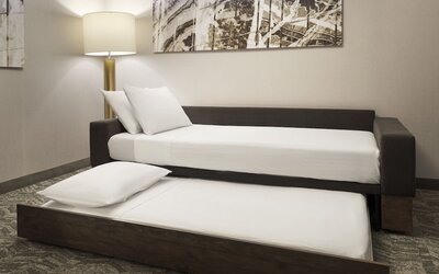Springhill Suites By Marriott Las Vegas Airport