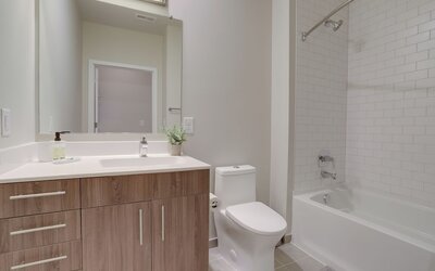 Charming DC Area Apartments
