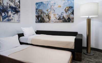 Springhill Suites by Marriott Alexandria Old Town/Southwest
