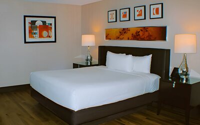 Circus Circus Hotel, Casino & Theme Park
