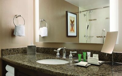 Hilton Arlington