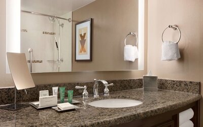 Hilton Arlington