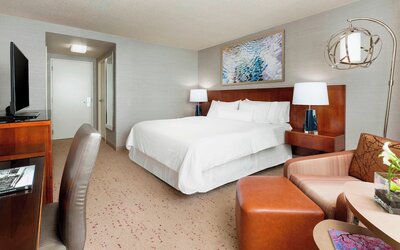 Room, 1 King Bed, City View