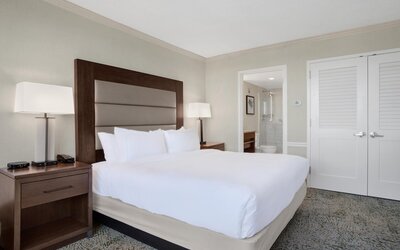 Hilton Arlington National Landing