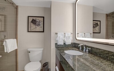 Hilton Arlington National Landing