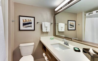 Holiday Inn Franklin - Cool Springs by IHG