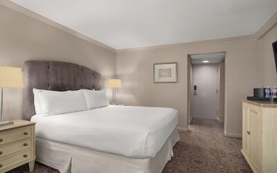 Dauphine Orleans Hotel
