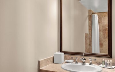 Dauphine Orleans Hotel