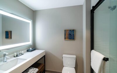 La Quinta Inn & Suites by Wyndham Nashville Downtown / Stadium