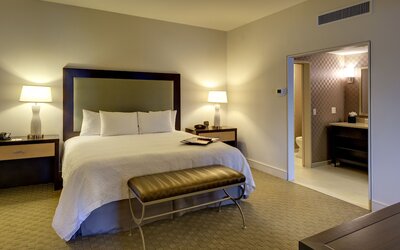 Hampton Inn & Suites New Orleans Downtown (French Qtr Area)