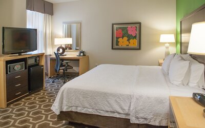 Hampton Inn & Suites New Orleans Downtown (French Qtr Area)